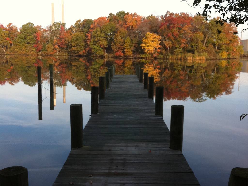 7801 Waterview Drive Open Home Pro